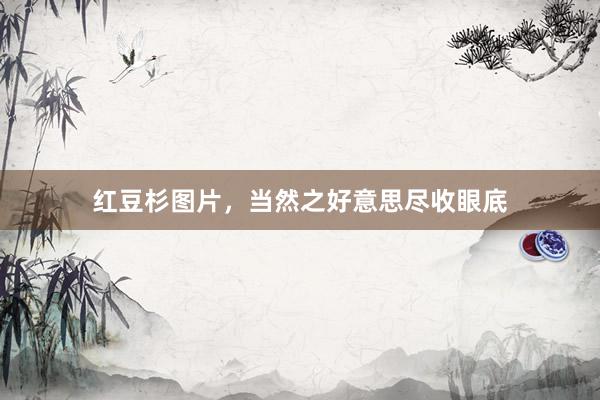 红豆杉图片，当然之好意思尽收眼底