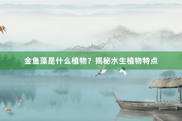 金鱼藻是什么植物？揭秘水生植物特点