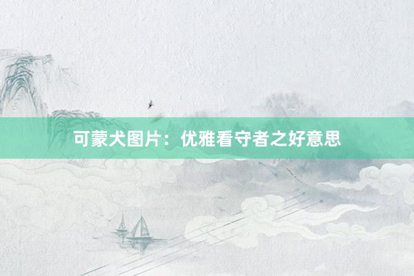 可蒙犬图片：优雅看守者之好意思