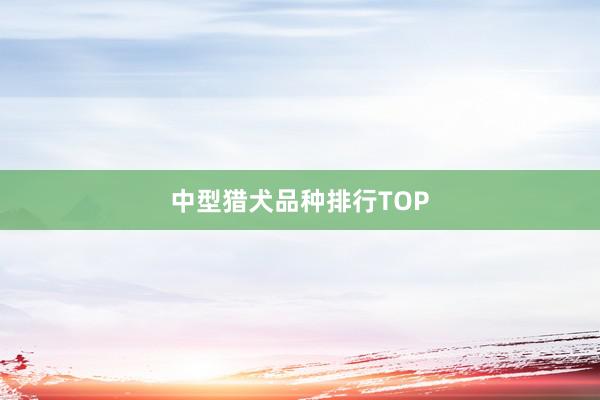 中型猎犬品种排行TOP