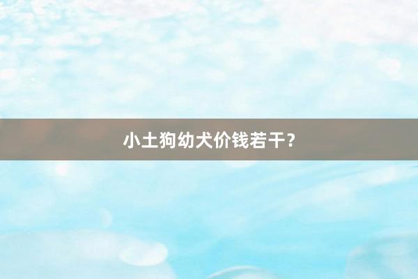 小土狗幼犬价钱若干？