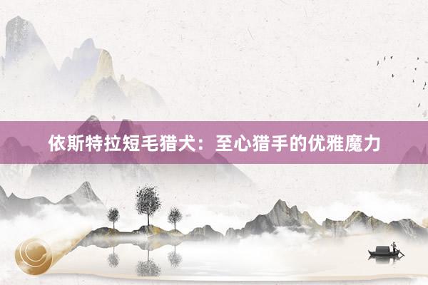 依斯特拉短毛猎犬:至心猎手的优雅魔力